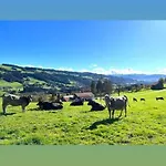 Allgaeu - Traumhafter Blick In Schweizer Berge