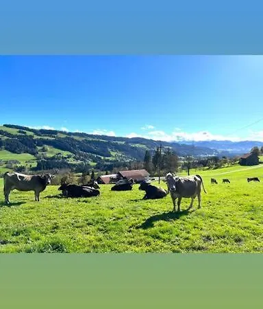 Allgaeu - Traumhafter Blick In Schweizer Berge