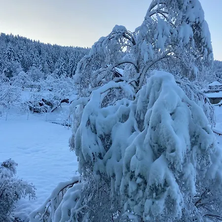 Apartman Allgaeu - Traumhafter Blick In Schweizer Berge Weiler-Simmerberg