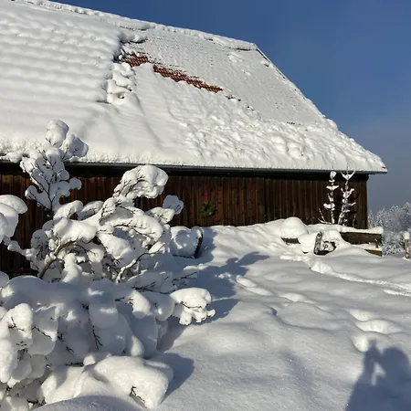 Apartman Allgaeu - Traumhafter Blick In Schweizer Berge *