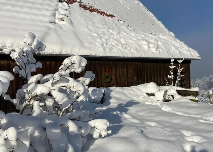 Appartement Allgaeu - Traumhafter Blick In Schweizer Berge *