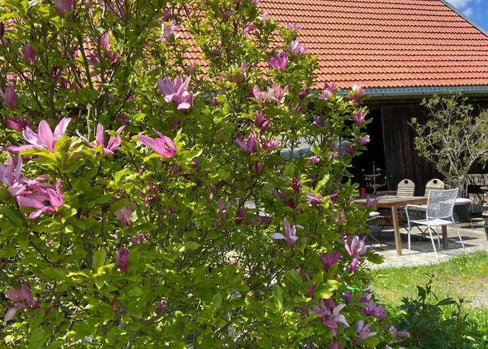 Appartement Allgaeu - Traumhafter Blick In Schweizer Berge Weiler-Simmerberg