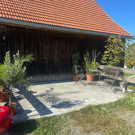 Allgaeu - Traumhafter Blick In Schweizer Berge Appartement *
