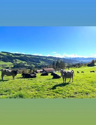 Allgaeu - Traumhafter Blick In Schweizer Berge