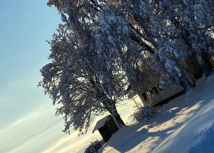 Allgaeu - Traumhafter Blick In Schweizer Berge 아파트 *